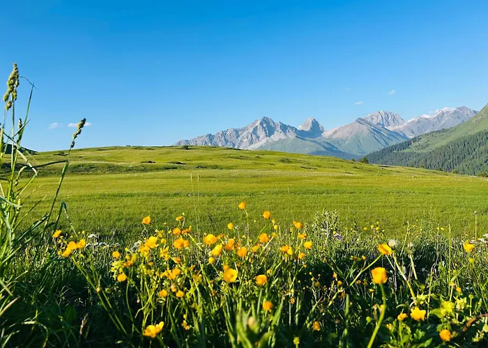 Tigia Val Surses Gasthof Radons